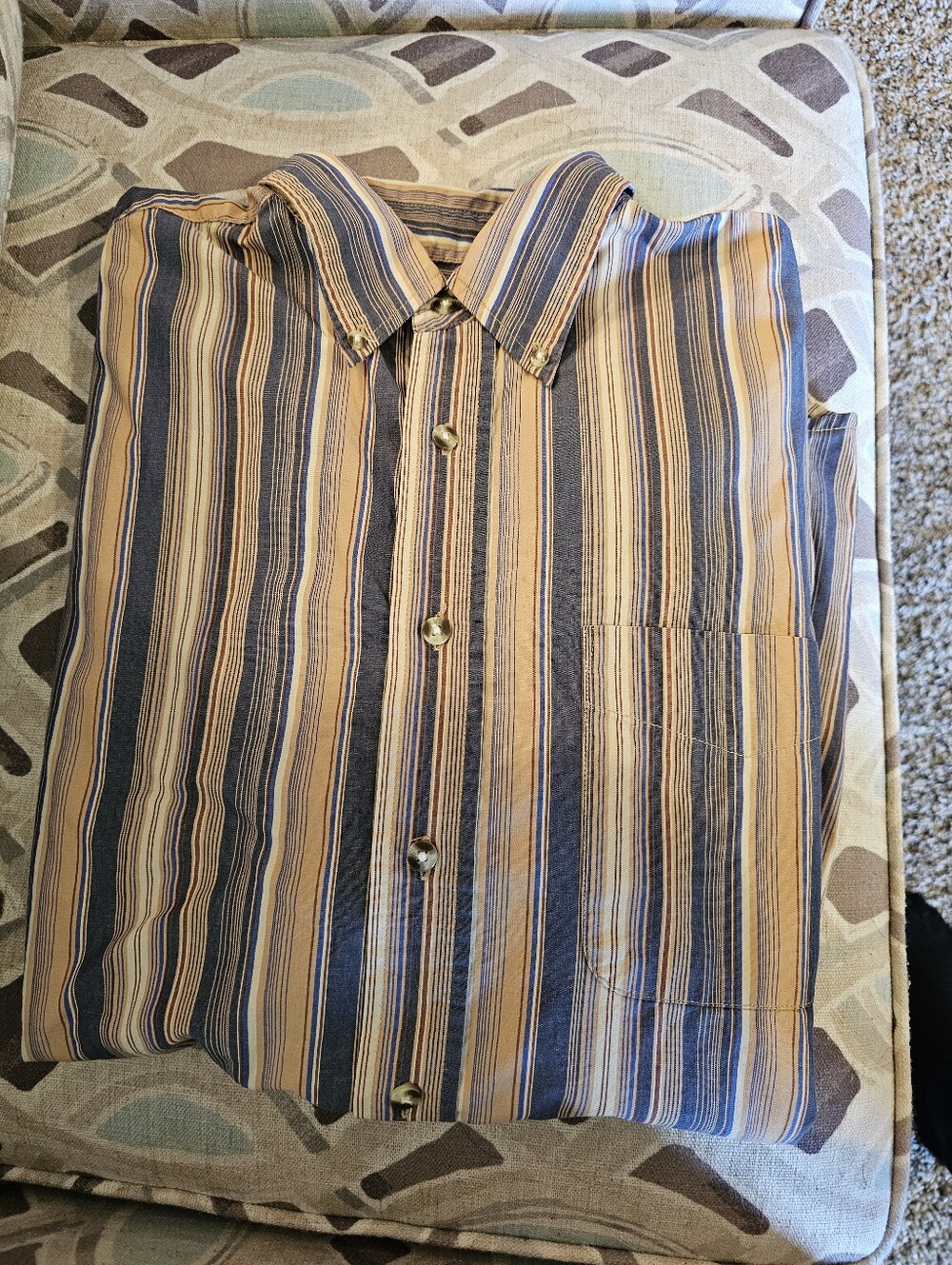 Scandia Woods Casual Striped Button-Down Shirt in Blue & Tan